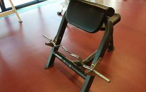 Musculation