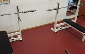 Musculation