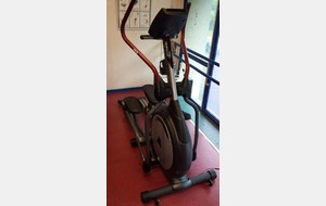 Musculation