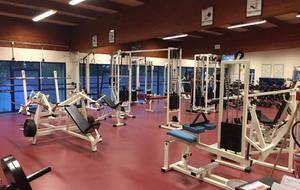 Musculation