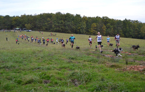 1ère Edition 2015 du Canicross 24