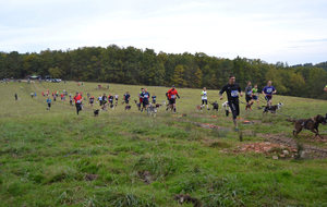 1ère Edition 2015 du Canicross 24
