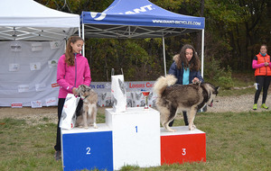 3ème Edition du Canicross de Saint Astier